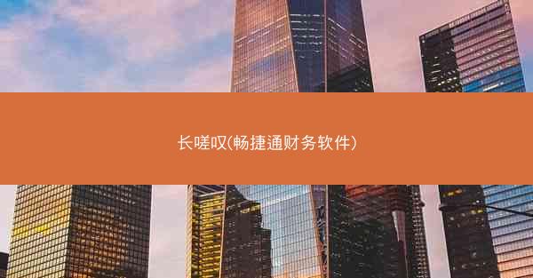 长嗟叹(畅捷通财务软件)