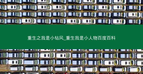 重生之我是小钻风_重生我是小人物百度百科