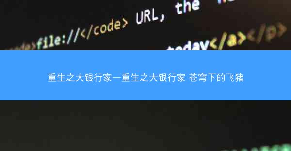 重生之大银行家—重生之大银行家 苍穹下的飞猪