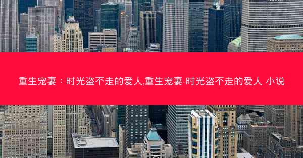 重生宠妻：时光盗不走的爱人,重生宠妻-时光盗不走的爱人 小说