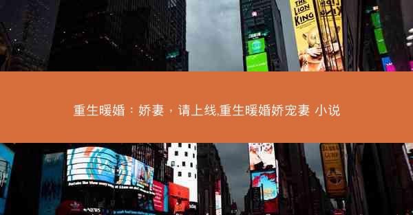 重生暖婚：娇妻，请上线,重生暖婚娇宠妻 小说