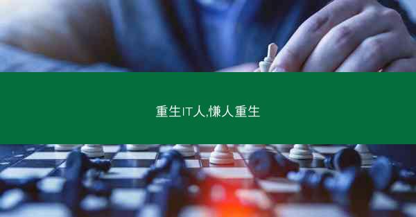 重生IT人,慊人重生