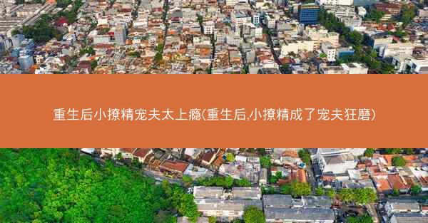 重生后小撩精宠夫太上瘾(重生后,小撩精成了宠夫狂磨)
