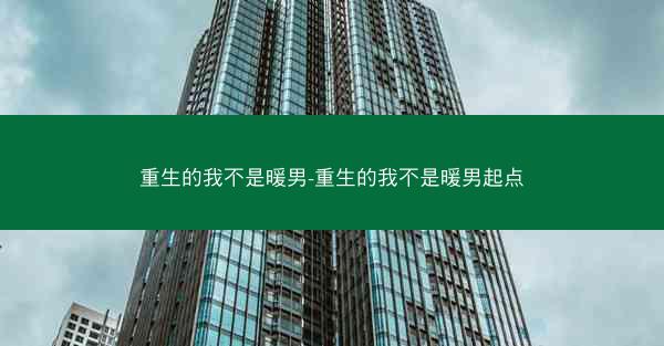 重生的我不是暖男-重生的我不是暖男起点