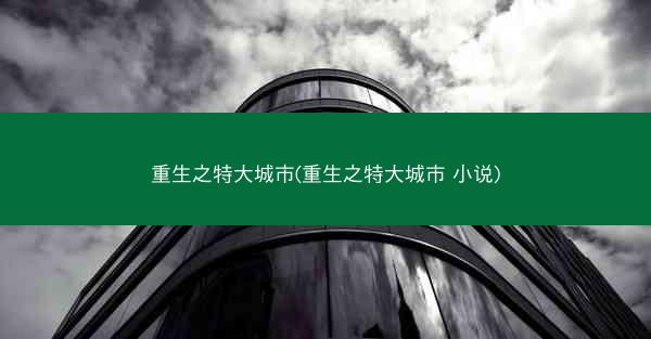 重生之特大城市(重生之特大城市 小说)