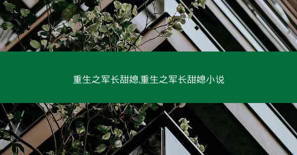 重生之军长甜媳,重生之军长甜媳小说