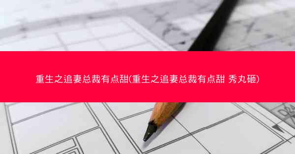 重生之追妻总裁有点甜(重生之追妻总裁有点甜 秀丸砸)