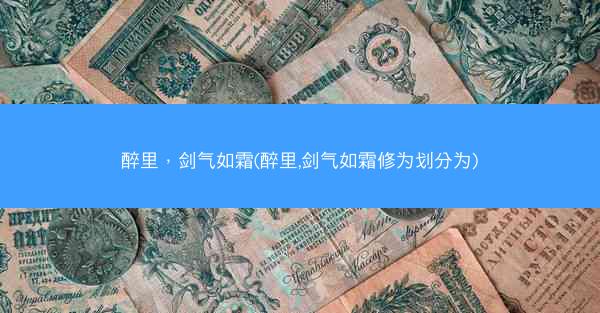 醉里，剑气如霜(醉里,剑气如霜修为划分为)
