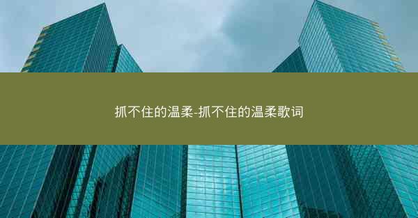 抓不住的温柔-抓不住的温柔歌词