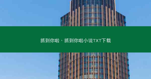 抓到你啦、抓到你啦小说TXT下载