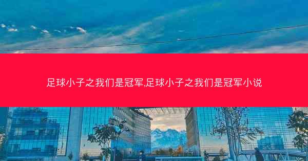 足球小子之我们是冠军,足球小子之我们是冠军小说