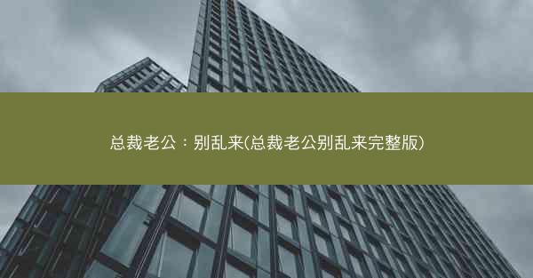 总裁老公：别乱来(总裁老公别乱来完整版)