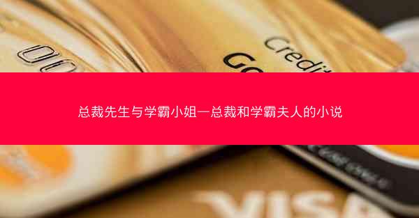 总裁先生与学霸小姐—总裁和学霸夫人的小说