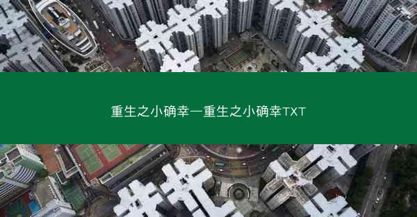 重生之小确幸—重生之小确幸TXT