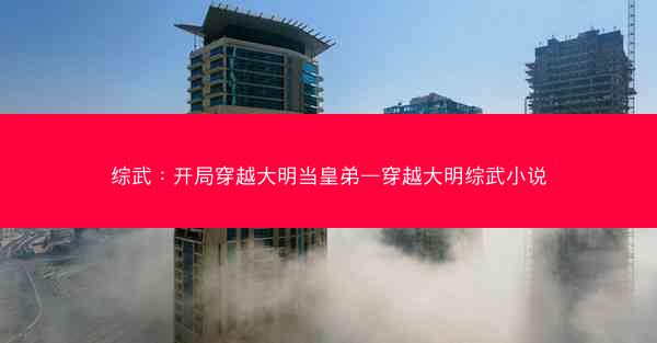 综武：开局穿越大明当皇弟—穿越大明综武小说
