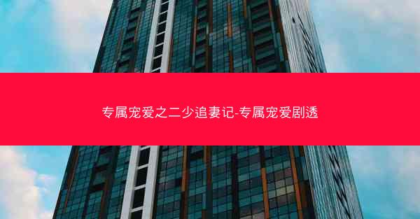 专属宠爱之二少追妻记-专属宠爱剧透