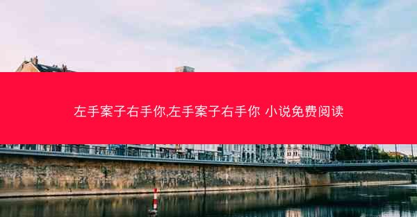 左手案子右手你,左手案子右手你 小说免费阅读