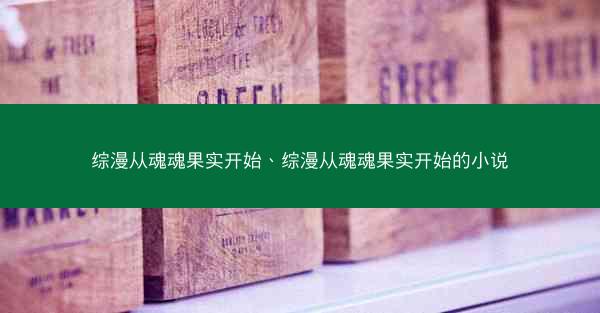 综漫从魂魂果实开始、综漫从魂魂果实开始的小说