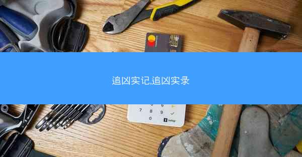追凶实记,追凶实录