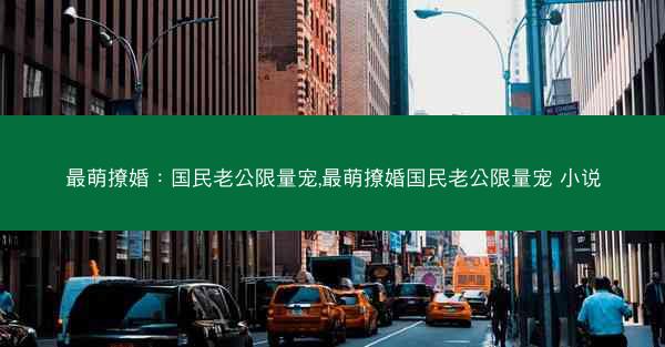 最萌撩婚：国民老公限量宠,最萌撩婚国民老公限量宠 小说
