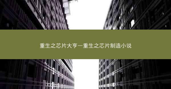 重生之芯片大亨—重生之芯片制造小说