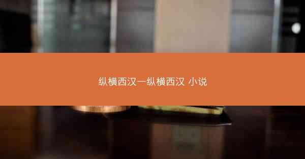 纵横西汉—纵横西汉 小说