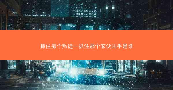 抓住那个叛徒—抓住那个家伙凶手是谁