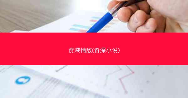 资深情敌(资深小说)