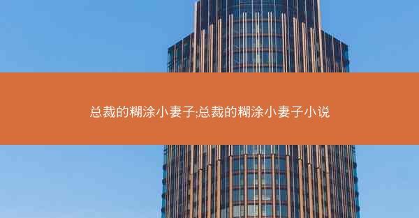 总裁的糊涂小妻子;总裁的糊涂小妻子小说